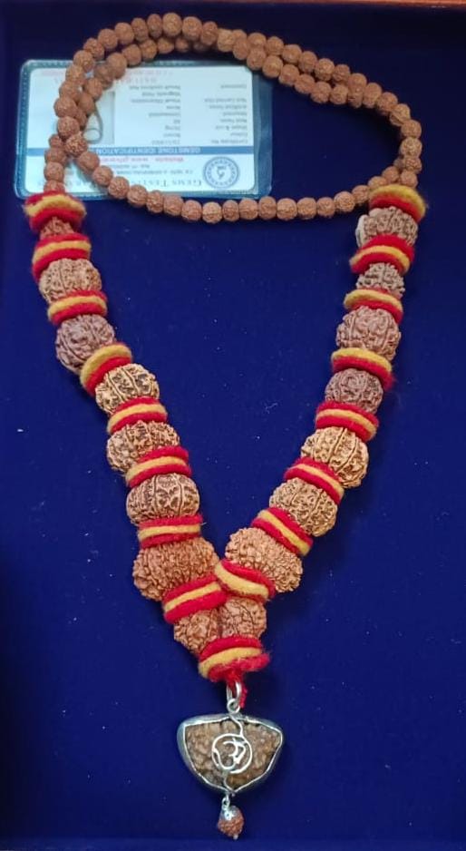 Nepali Rudraksha Siddha Mala