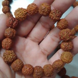 Rudraksha Braclet Java Indonesia