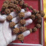 Nepali Rudraksha Mala 27 Beads