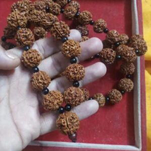 Nepali Rudraksha Mala 27 Beads