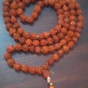 Java -Indo Rudraksha Mala